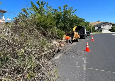 Flawless Tree Service