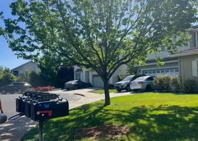 Impressive Tree Service