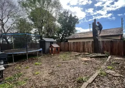 Perfect Tree Service
