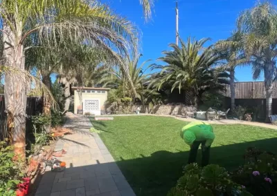 Reputable Tree Service