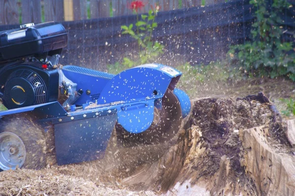 Stump Grinding Stump Grinding