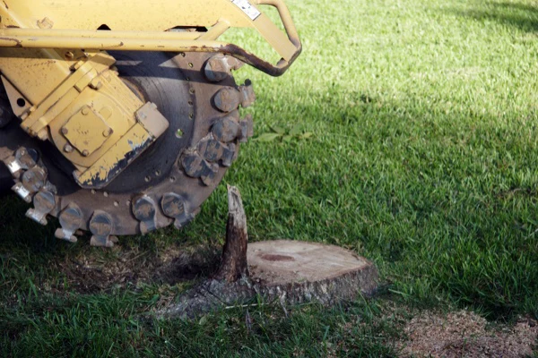 Stump Removal Stump Removal