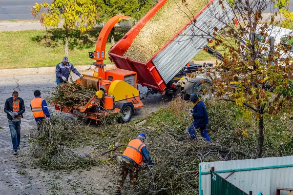 Tree Chipping Tree Chipping