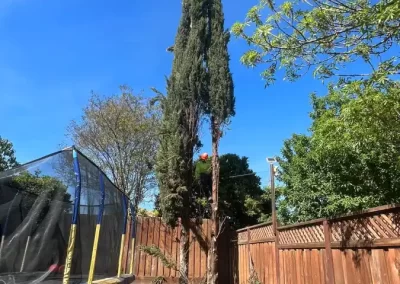 Unfailing Tree Service