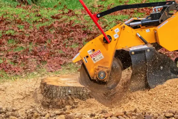 Professional Stump Grinding in Antioch, CA