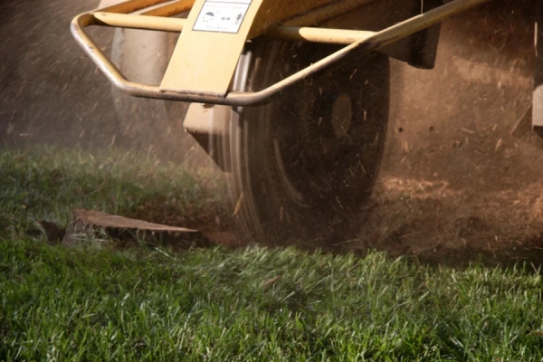 Dependable Stump Grinding in Antioch, CA